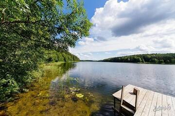 Фото номера Апартаменты Загородные дома Усадьба Жемчужный край г. Voyshkuny 45